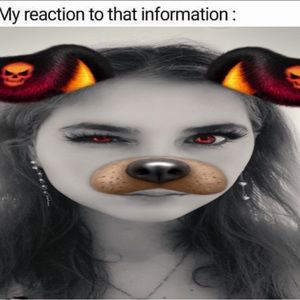 Meet your Posher, Ella